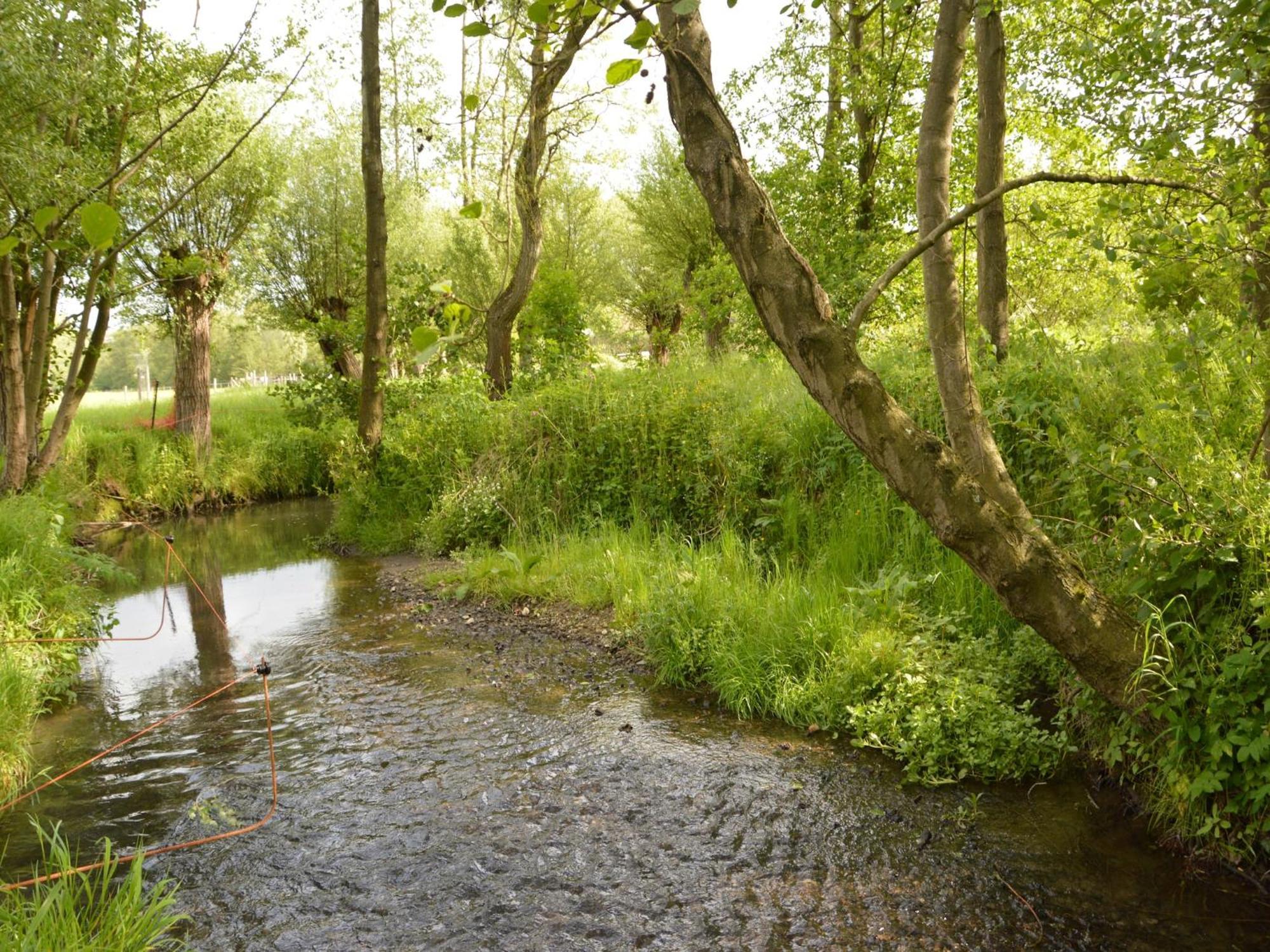 Stunning Holiday Home Near Forest In Сленакен Экстерьер фото